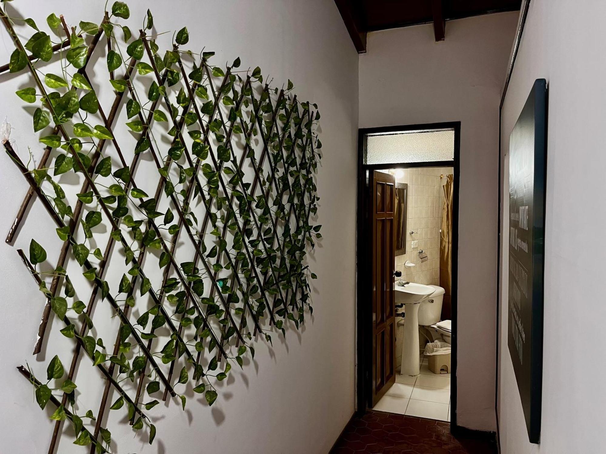 The Chill In Mansion Hostel Santa Marta 外观 照片