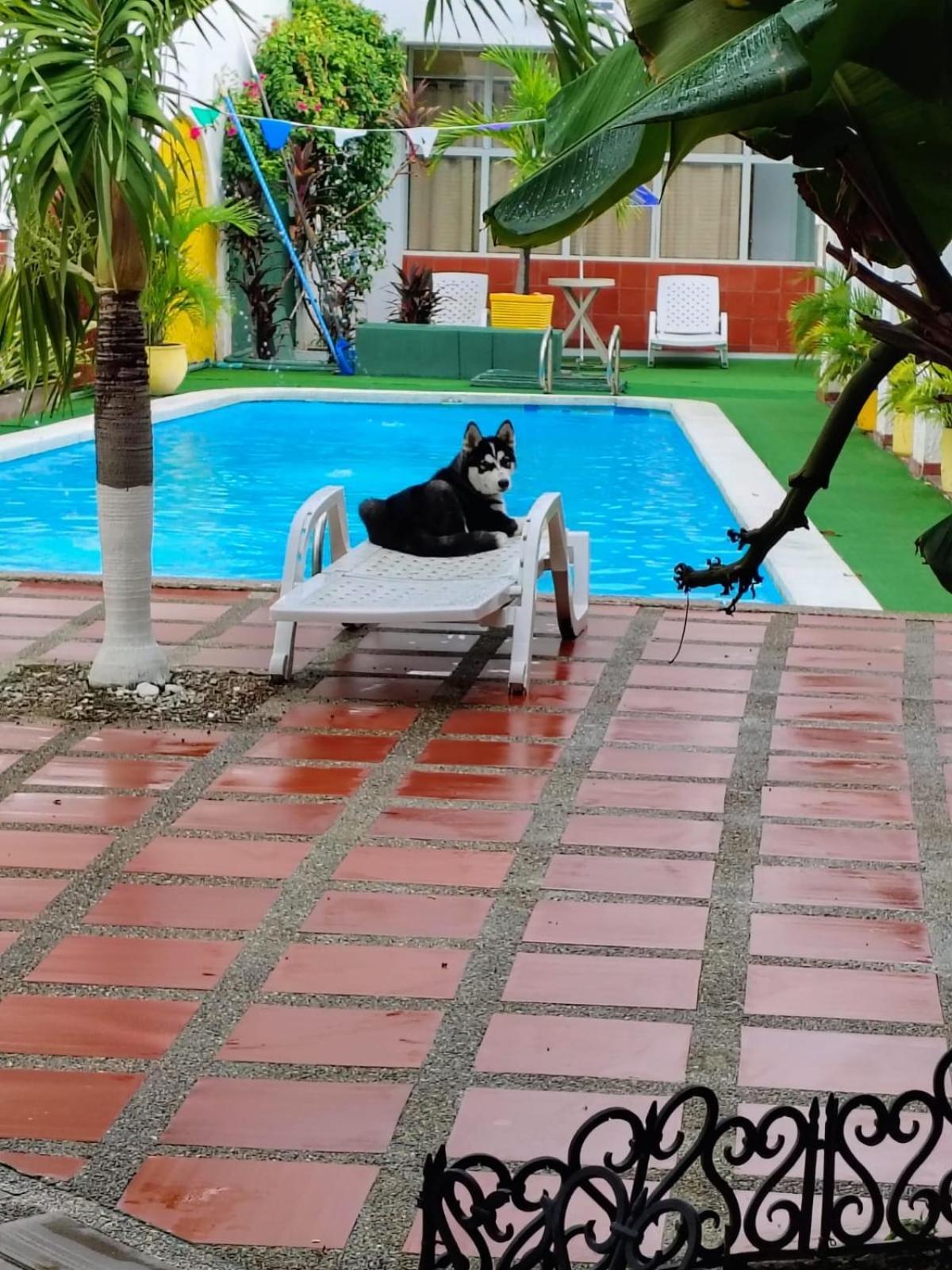 The Chill In Mansion Hostel Santa Marta 外观 照片